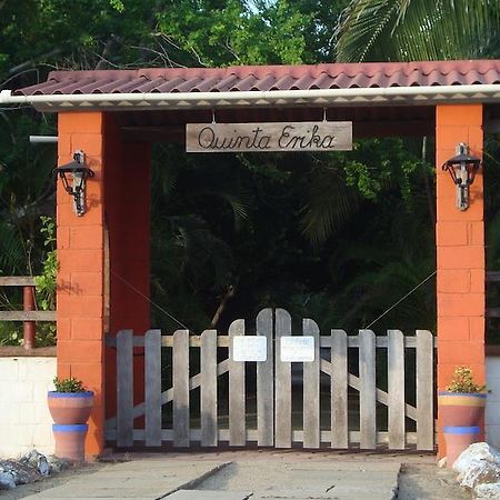 Quinta Erika Hotel Coyuca de Benitez Bagian luar foto