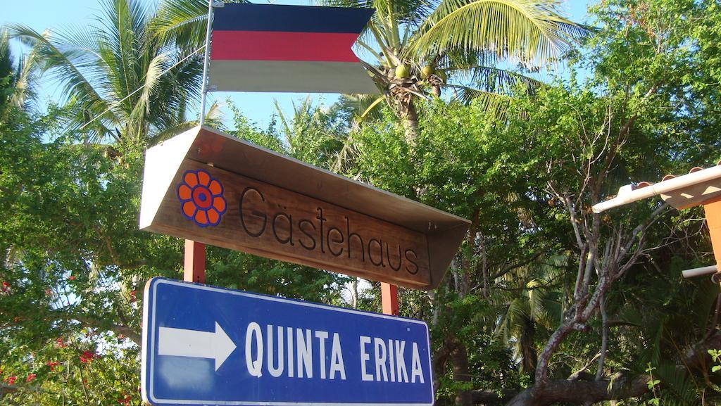 Quinta Erika Hotel Coyuca de Benitez Bagian luar foto