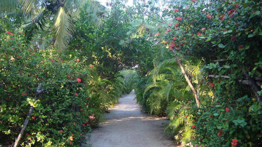 Quinta Erika Hotel Coyuca de Benitez Bagian luar foto