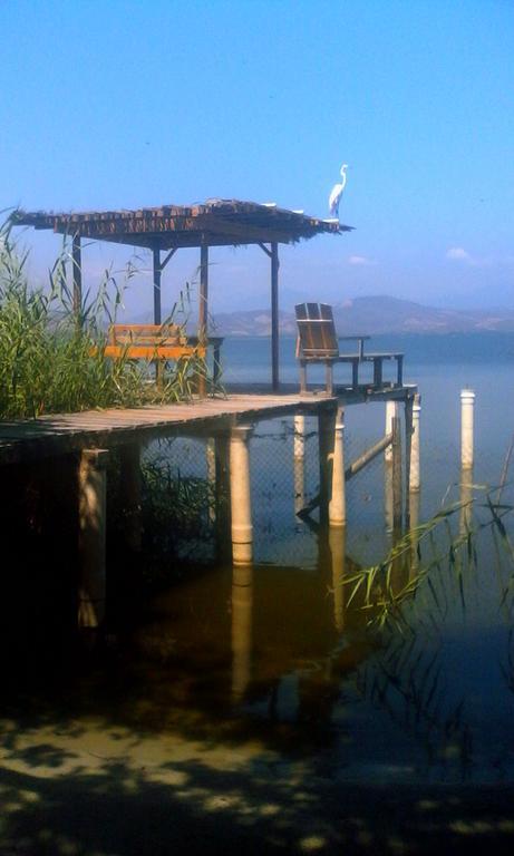 Quinta Erika Hotel Coyuca de Benitez Bagian luar foto
