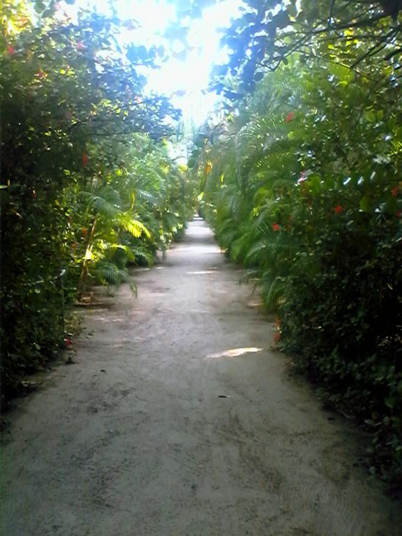 Quinta Erika Hotel Coyuca de Benitez Bagian luar foto