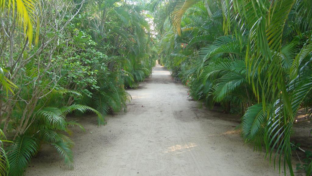 Quinta Erika Hotel Coyuca de Benitez Bagian luar foto