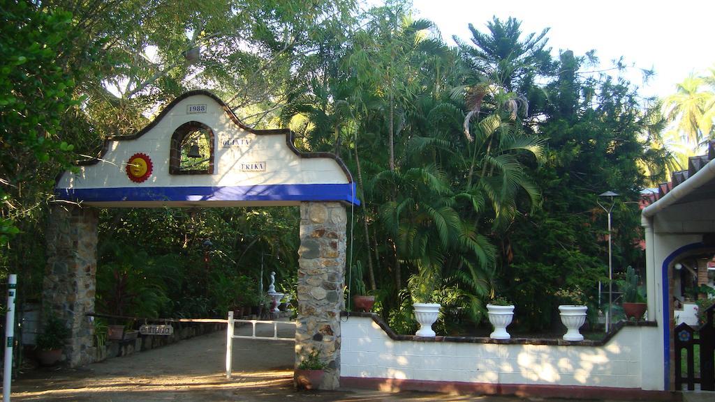 Quinta Erika Hotel Coyuca de Benitez Bagian luar foto