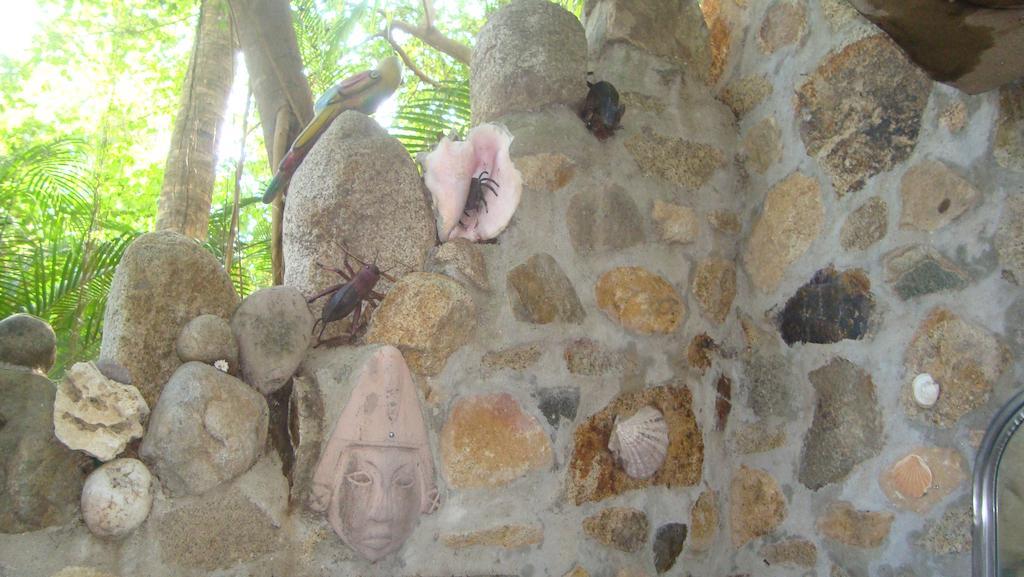 Quinta Erika Hotel Coyuca de Benitez Bagian luar foto